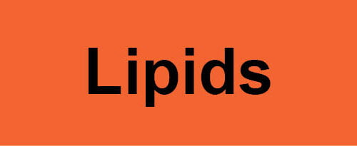 Lipids